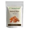 Babool Gum Powder