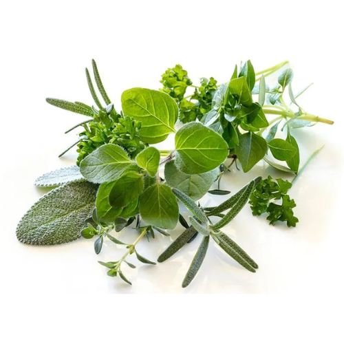 Herbs
