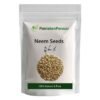 Neem Seeds